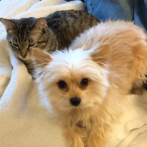 Meet your Posher, Karla